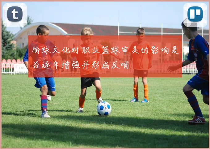 街球文化对职业篮球审美的影响是否逐年增强并形成反哺