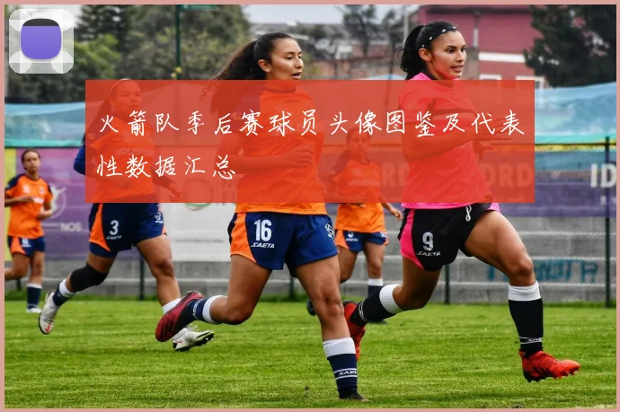 火箭队季后赛球员头像图鉴及代表性数据汇总